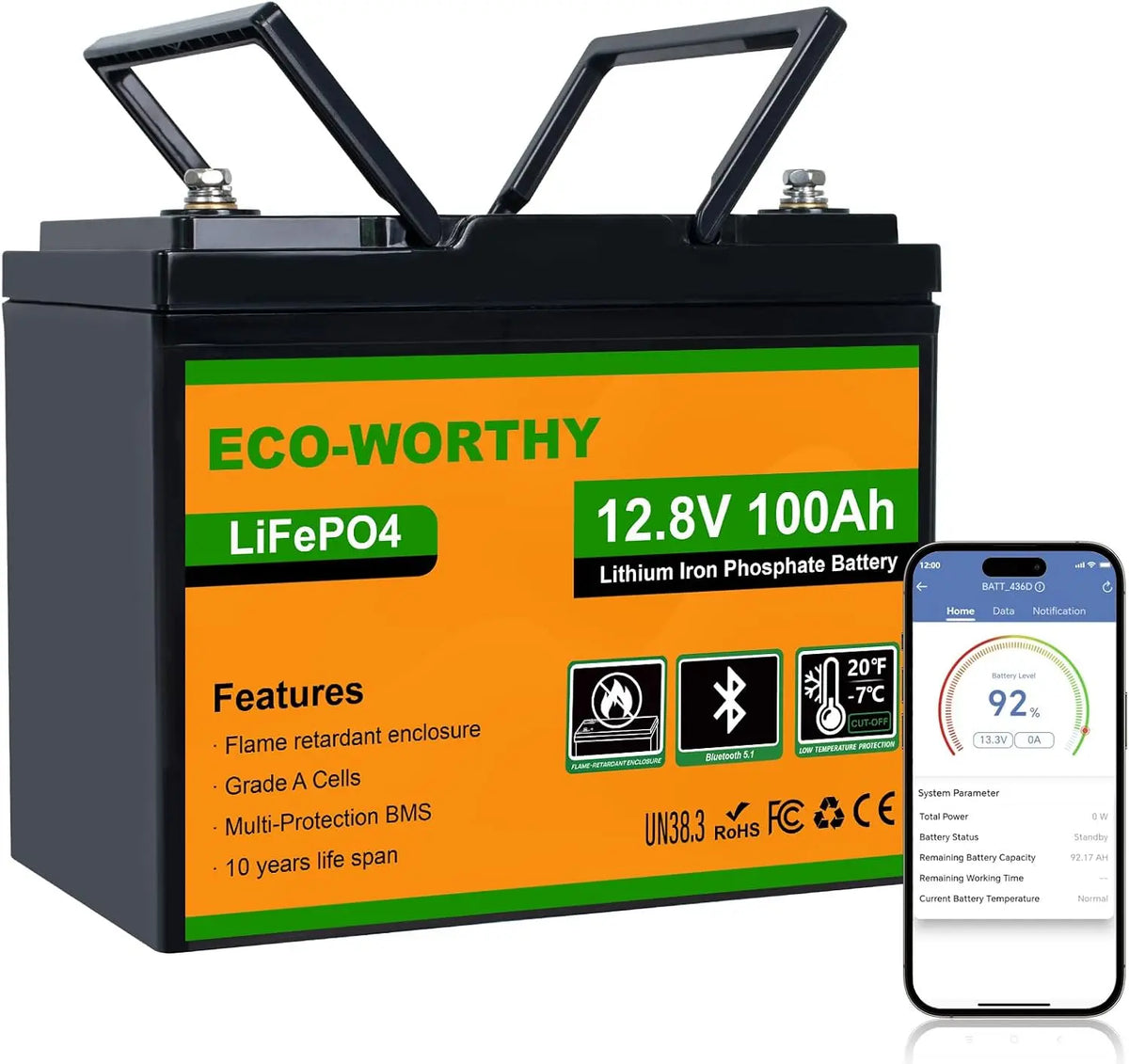 ECO-WORTHY batterie – 12 V, 100 Ah