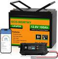 ECO-WORTHY batterie – 12V, 100AH